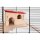 Mäuse- & Hamsterheim - Kleintierkäfig MINNESOTA mit Holzausstattung und Laufrad