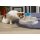 Drinking fountain OASIS AURA for cats and dogs white-blue