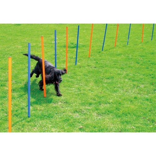 Agility slalom poles dogs training hurdles rods set 12 pieces + bag