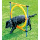 Agility Jump Ring Dog Training Hurdle - Agility jumping...