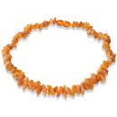 Amber Collar Amber necklace Tick protection for dogs and...