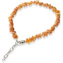 Amber collar amber necklace with chain for dogs + cats...