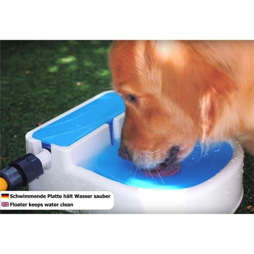 Dog Garden Bowl Water Automatic, Dog Garden Water Fountain