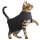 Beruhigungsweste zur Angstbekämpfung Anti-Angst Jacke für Katzen
