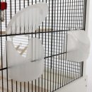 Replacement Bowl Feeding Bowl with Perch for Bird Homes