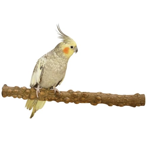 Perch for birds Perching branch Natural perching branch made of pepper wood approx. 20 x 2.0 cm