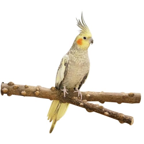 Bird perch Natural pepper wood seat branch Y-shape approx. 30 x 2.8 cm