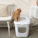Cat Litter Box with Front and Top Entrance