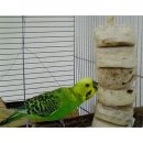 Vogelspielzeug Mini Bird Kabob ideal für Sittiche...